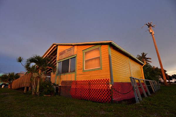 Berts Gallery by Wildfly Photography