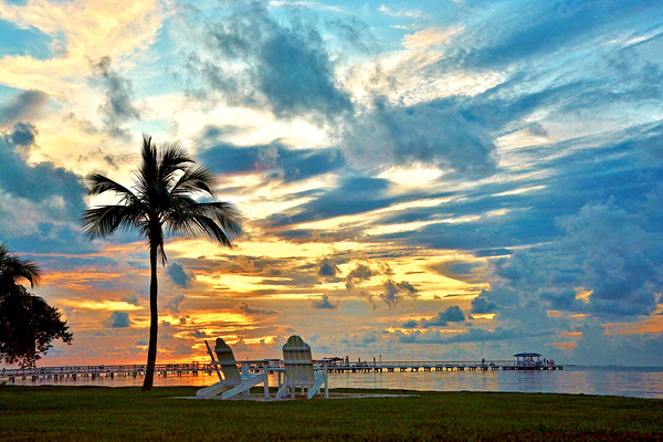 Paradise by Wildfly Photography