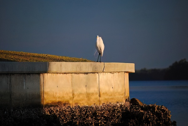 Seawall by Wildfly Photography