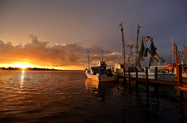 Commercial by Wildfly Photography