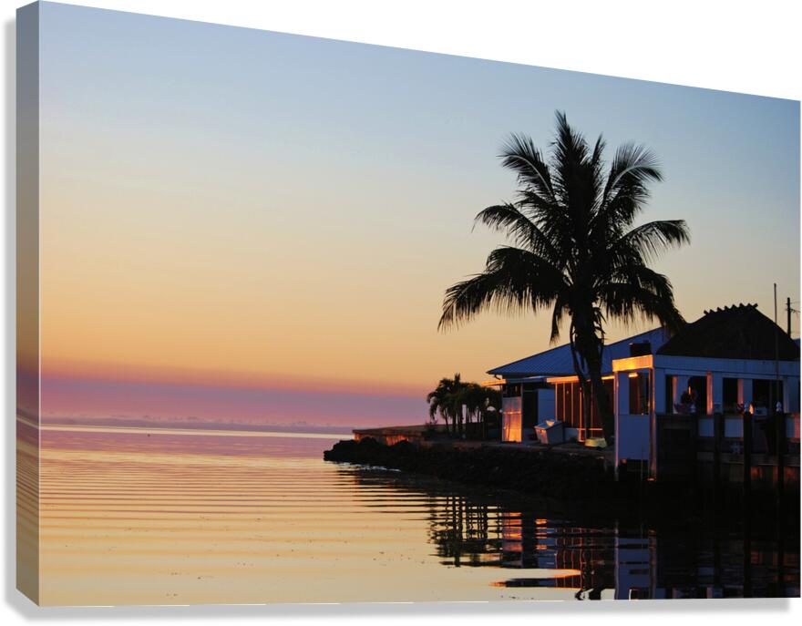 Purple Morning Canvas Print