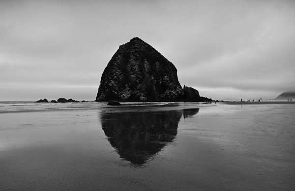 Great reflection   Print