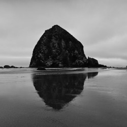 Great reflection  