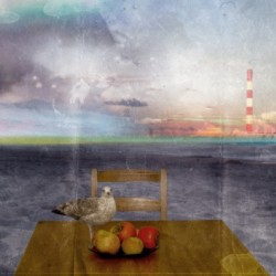 Radioactive Seagull