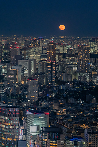 Moonrise over Tokyo