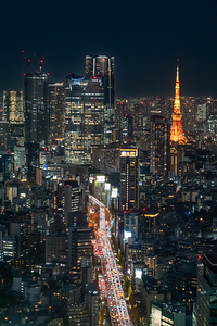 Tokyo Skyline with Tokyo Tower at Nigh