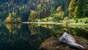 Fall Colors at a Lake in the Black Forest