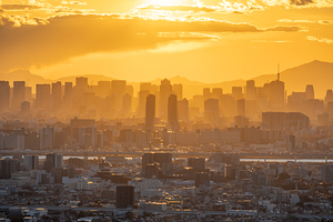Tokyo Skyline Sunset