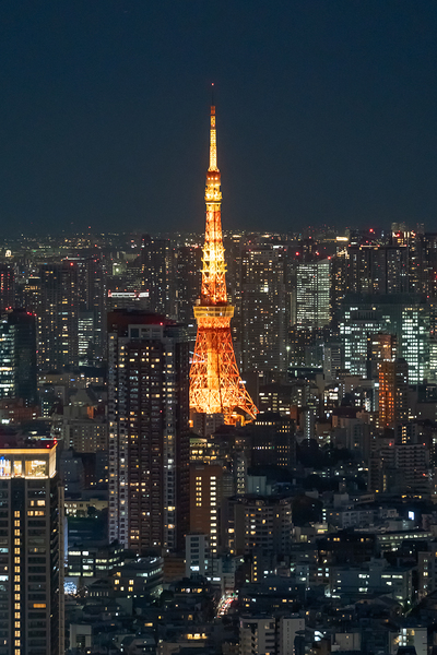 Tokyo Tower at Night Print