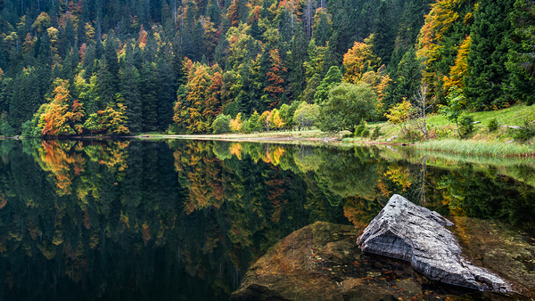 Fall Colors at a Lake in the Black Forest Print