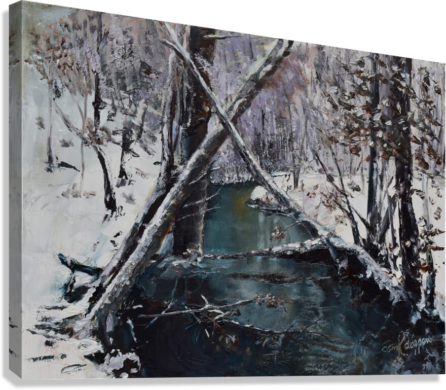 IceColdCreek Canvas Print
