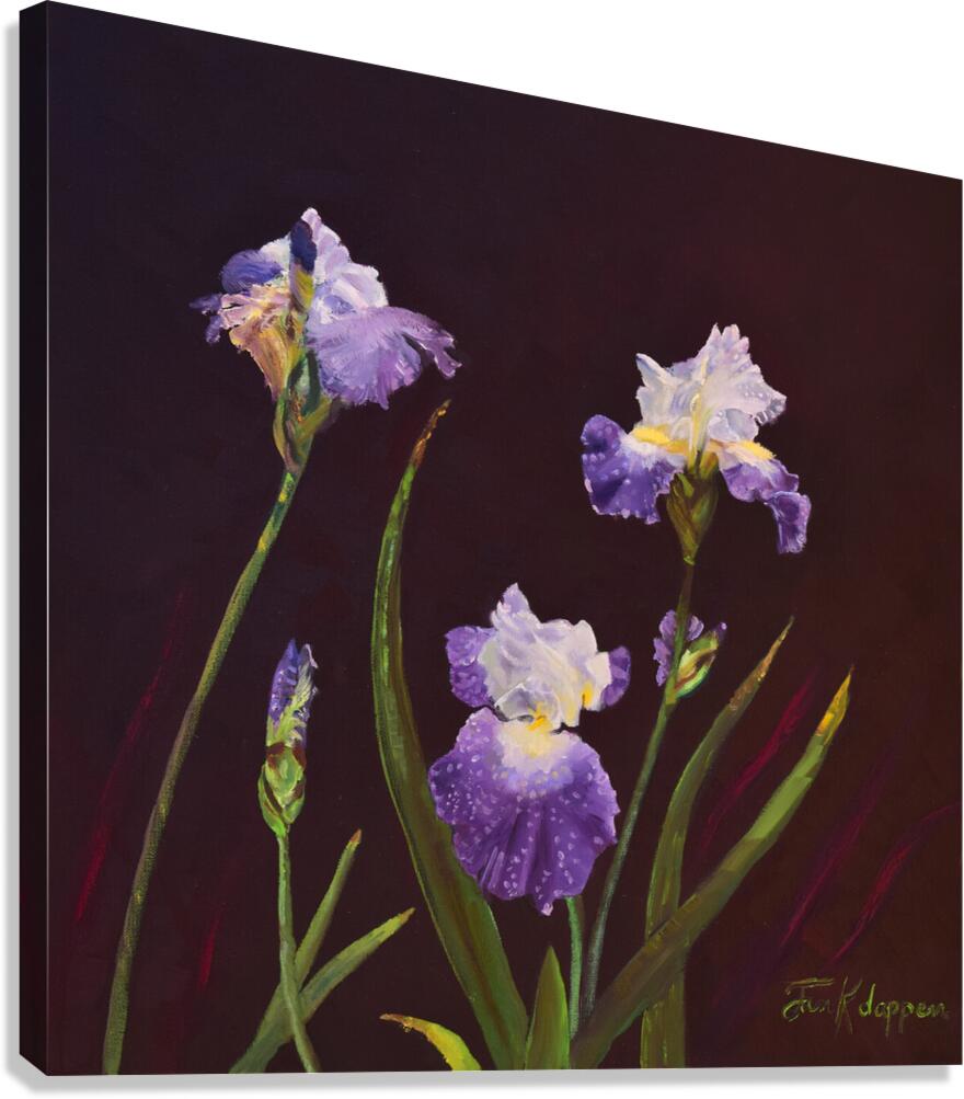 Irises Canvas Print