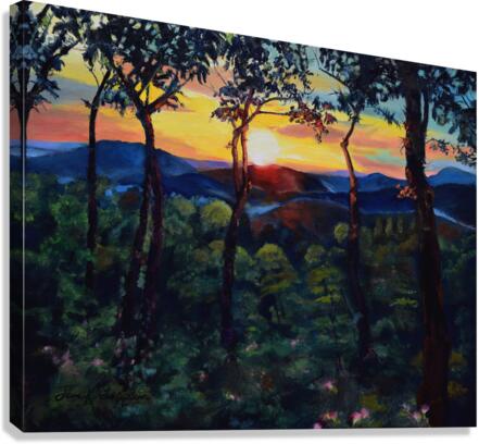 David s Sunset Canvas Print