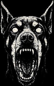 Distressed Barking Doberman Pinscher