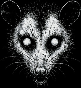 Distressed Creepy Opossum   Gritty Trash Cat Alternative Art