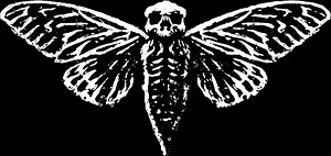 Macabre Cicada 3301