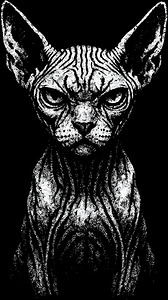 Distressed Sphynx Cat Portrait   Gritty Hairless