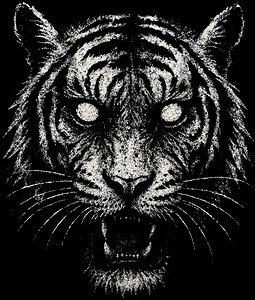 Possessed Tiger Portrait   Distressed Feline Art