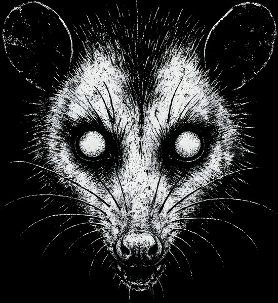 Distressed Creepy Opossum   Gritty Trash Cat Alternative Art by MetalByte