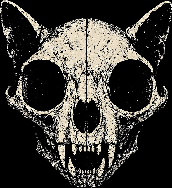 Distressed Creepy Gothic Cat Skull by MetalByte