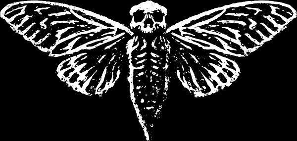Macabre Cicada 3301 by MetalByte