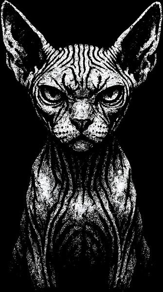 Distressed Sphynx Cat Portrait   Gritty Hairless by MetalByte