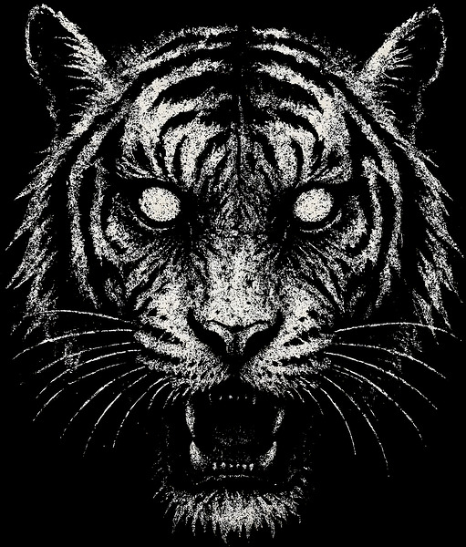 Possessed Tiger Portrait   Distressed Feline Art by MetalByte
