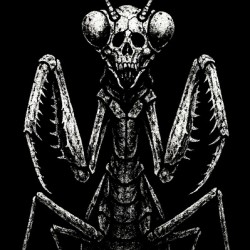 Skeletal Praying Mantis Insect Art