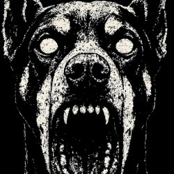 Distressed Barking Doberman Pinscher