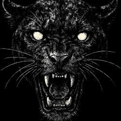 Distressed Roaring Black Panther