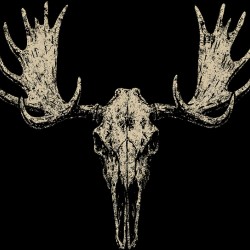 Distressed Moose Antler Skull