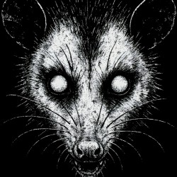 Distressed Creepy Opossum   Gritty Trash Cat Alternative Art