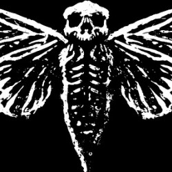 Macabre Cicada 3301