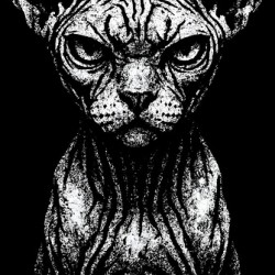 Distressed Sphynx Cat Portrait   Gritty Hairless