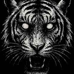 Possessed Tiger Portrait   Distressed Feline Art