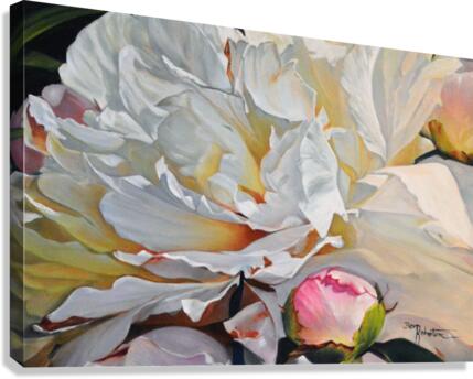 Budding In  Canvas Print