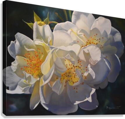 Sun lovers Canvas Print