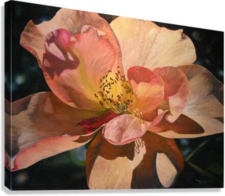 Full bloom  Canvas Print