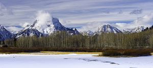 20211207  DSC9332 Edit 16x36