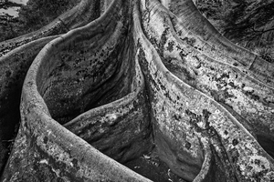 20221027 DSC 7314 Edit bw 16x24