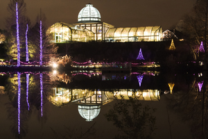 Lewis Ginter Fest of Lights cropped nik filters.j