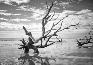 Please Save Me  18x26