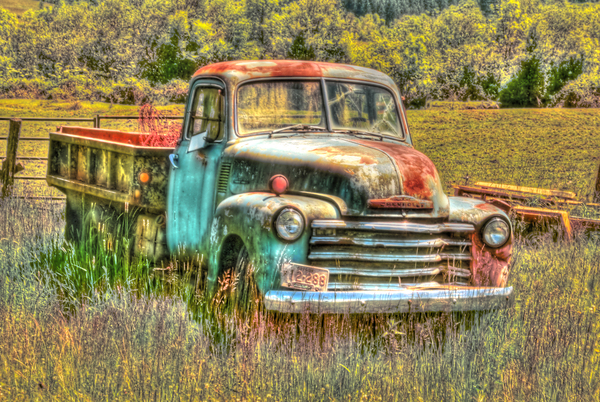 1953 Truck 20x30 Print