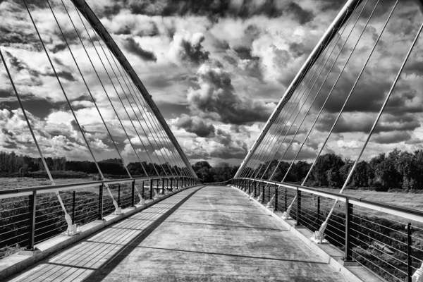 DSC 8097 20x30 Print