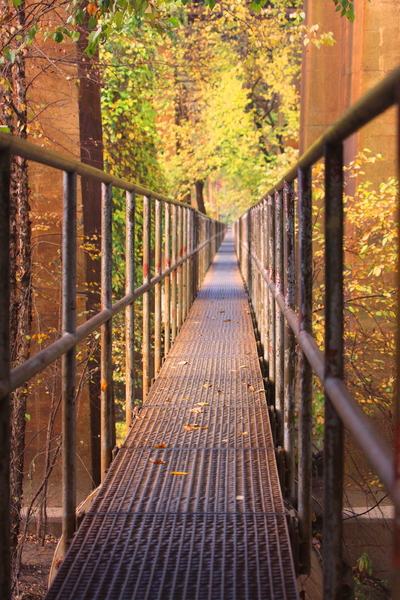 Fall Pipe Line Run 16x24 Print