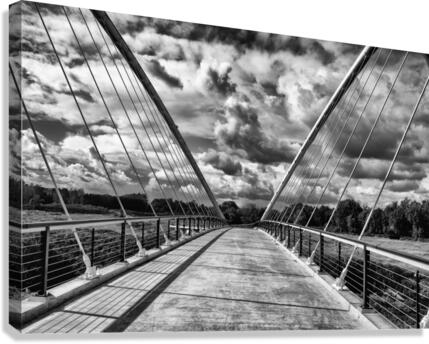 DSC 8097 20x30 Canvas Print