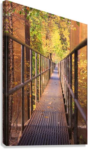 Fall Pipe Line Run 16x24 Canvas Print
