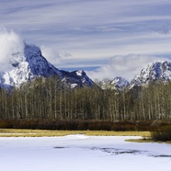 20211207  DSC9332 Edit 16x36