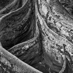 20221027 DSC 7314 Edit bw 16x24