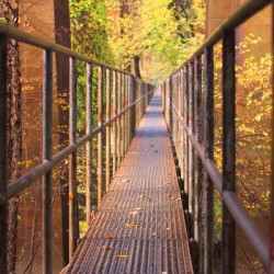 Fall Pipe Line Run 16x24